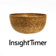 insight-logo